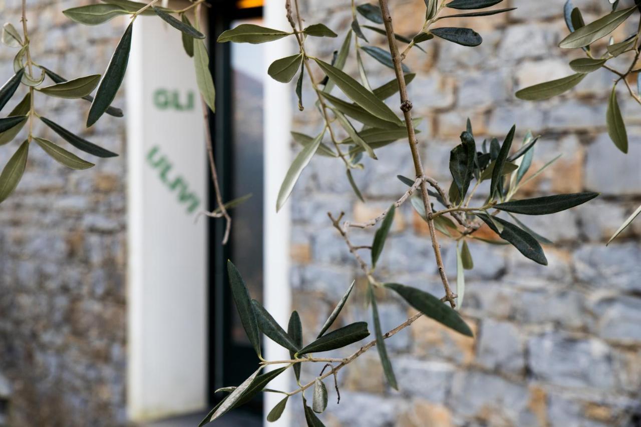 Agri Bed - L'Affittacamere In Collina - Guest Room On The Hill Lavagna Exterior foto