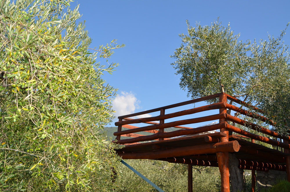 Agri Bed - L'Affittacamere In Collina - Guest Room On The Hill Lavagna Exterior foto